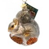 Old World Christmas 3.5 Inch Hungry Squirrel Playful Bushy Tail Tree Ornaments - 2 of 3