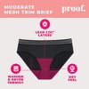 Proof Women's Mesh Trim Briefs, Moderate Absorbency Period Underwear - Black - 4 of 4
