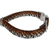 Country Brook Petz Premium Dog Collar - Animal Prints Collection - 3 of 4