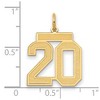 Black Bow Jewelry 14k Yellow Gold, Jersey Collection, Medium Number 20 Pendant - 2 of 3