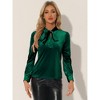 INSPIRE CHIC Women's Vintage Solid Gothic Velvet Dressy Bow Tie Neck Business Shirt - 4 of 4