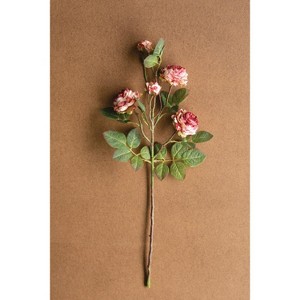Artificial Antique Garden Rose Stem – 26" Tall Faux Floral Accent, Set of 6 by Kalalou - 1 of 3