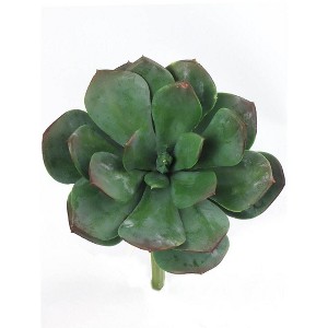 Floral Home 8" Real Touch Aeonium Succulent Plant - 12-Piece - 1 of 2