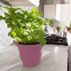 Bloem Ariana Round Resin Planter Pot Indoor and Outdoor Gardening - 2 of 4