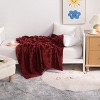 Flannel Fuzzy Toddler Blanket, Fluffy Warm and Lightweight Baby Plush Blanket - NTBAY - 3 of 4