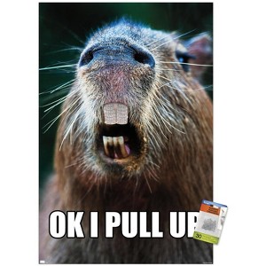 Trends International Capybara - Pull Up Unframed Wall Poster Prints - 1 of 4