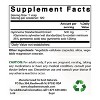 Gymnema Sylvestre 500 mg 120 Capsules - 2 of 4
