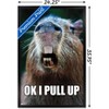 Trends International Capybara - Pull Up Framed Wall Poster Prints - 3 of 4