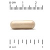 Super Nutrition Akkermansia 30B, 150 mg, 30 Veggie Capsules - 3 of 3
