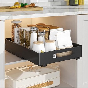 Iron Pull-Out Storage Rack - Under-Sink Organizer for Kitchen Dishes/Seasonings - 1 of 2