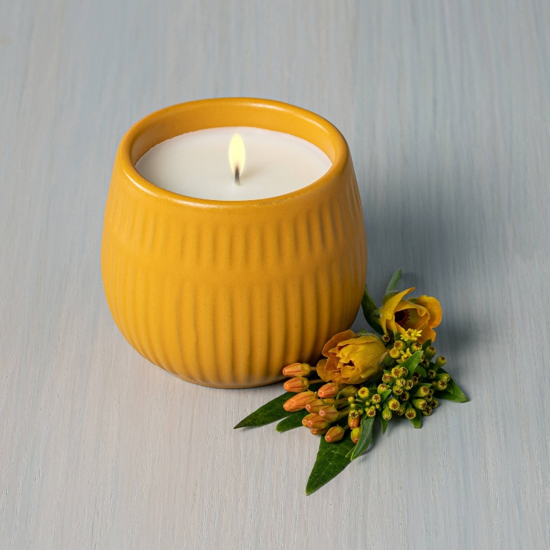 Hearth & Hand™ with Magnolia 9.3oz Cement Candle Lemon 