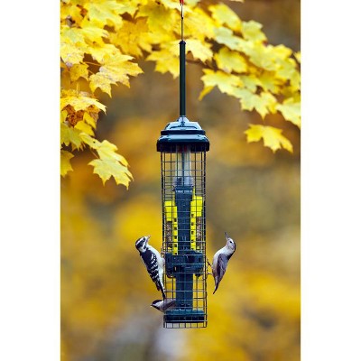 Green Metal Hanging Squirrel-Proof Suet Bird Feeder