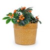 Set of 3 Modern Round Ceramic Planter Pots with Drainage Hole, Ceramic Flower Pots for Windowsills, Patio, or Garden–The Pop Home - 2 of 4