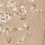 sparkling champagne rose bouquet