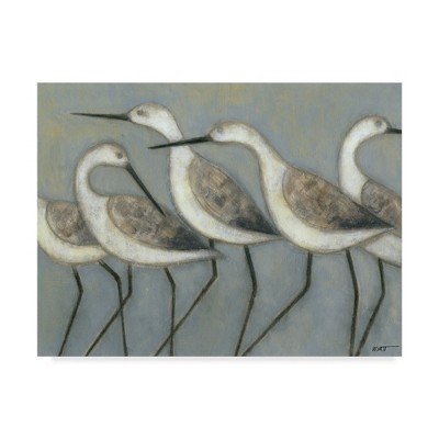 Seagulls on Blue Abstract Canvas Print, 24x18
