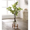 Artificial Tree - Faux 34.25" Potted Eucalyptus Tree - FXP1001 - Multicolored - Safvieh - 2 of 4