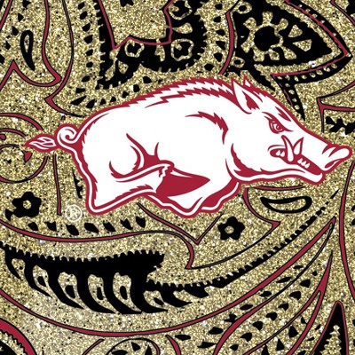 arkansas razorbacks