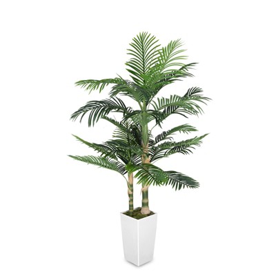 5FT Silk Island Golden Cane Palm Tree (Black Planter)