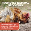8lb XL Chicken Dust Bath - White Volcanic Ash Dust Bath for Chickens - Quail Coop Chinchilla Chicken Coop Accessories - 2 of 4