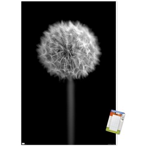 Trends International Tom Quartermaine - Black and White Dandelion Unframed Wall Poster Prints - 1 of 4