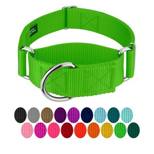 Country Brook Petz HossFit Jr Wide Martingale Dog Collar - Training Collar with No Buckle - Vibrant, Colorful Collection - 1 of 4