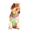 Doggie Design American River Choke Free Dog Harness Ombre Collection-Rainbow - 4 of 4