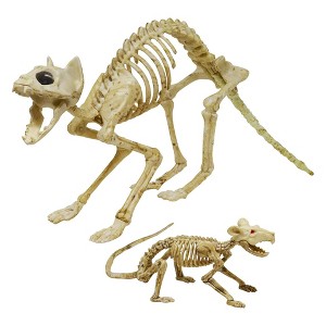 Skeleton Cat Halloween Decoration – 18" x 5.5" x 10.25" - 1 of 3