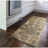 Liora Manne Marina Traditional Indoor/Outdoor Rug.. - 3 of 4