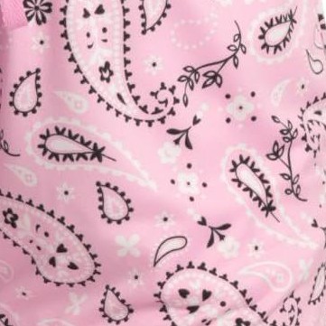 rodeo bandana - pink