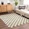 Hauteloom Canika Green Checkered Washable Plush Rug - 3 of 4