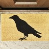 tag 1'6" x 2'6"  Black Crow Coir Mat Rectangle Indoor and Outdoor Coir Door Welcome Mat - 2 of 2