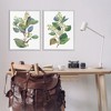 Stupell Industries Soft Eucalyptus Plant Ombre Leaves 2pc Framed Giclee Art Set, Gray, 24" x 30" - 2 of 4