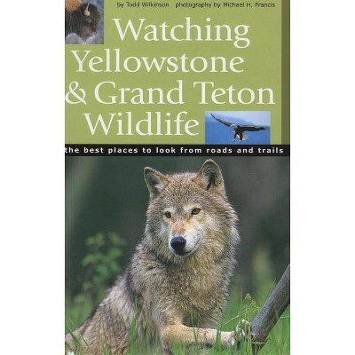 Watching Yellowstone & Grand Teton Wildlife - by  Todd Wilkinson (Paperback)