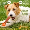 Dog Chits Beef Jerky (Esophagus) for Dogs | Dog and Puppy Chews | All-Natural | - 3 of 4