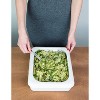 Fancy Panz 9"x13" Foil Pan Carrier - 2 of 4
