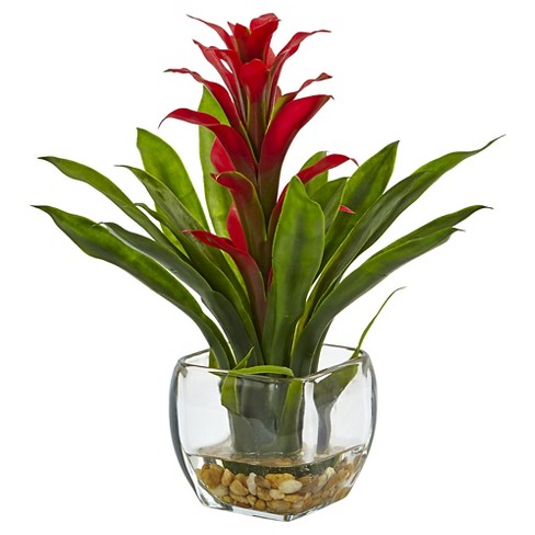 Bromeliad with Glass Vase Arrangement - Nearly Natural - image 1 of 3