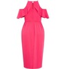 Women's Plus Size DRESS LOVE SIREN R - Raspberry | CITY CHIC - 4 of 4