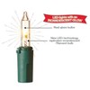 300ct LED Sylvania Stay-lit Incandescent Look Indoor Outdoor Miniature String Light with Green Wire - 3 of 3