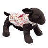 Butterfly Print Adjustable Dog Dress - The Worthy Dog - 3 of 3