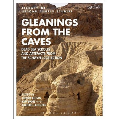 Gleanings from the Caves - (Library of Second Temple Studies) by  Torleif Elgvin & Lester L Grabbe & Michael Langlois & Kipp Davis (Paperback)
