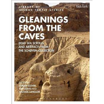 Gleanings from the Caves - (Library of Second Temple Studies) by  Torleif Elgvin & Michael Langlois & Kipp Davis (Paperback)