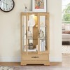 Vynxaria 1 Drawer Decorative Storage Cabinet with Mirrored Back and Adjustable Shelves - Cherry/White/Oak - 4 of 4