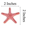 Collectible Wildlife Gifts | Starfish, Marble, Sea Star, Echinoderms, Asteroidea, Ocean, Sea Life, Plastic,  Toy, Gift,  2 1/4"   F928 B158 - 2 of 4