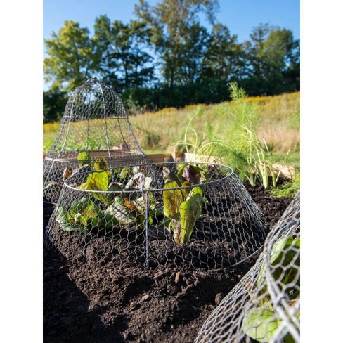 Gardener's Supply Company Sturdy Chicken Wire Cloche Plant