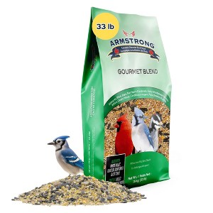 Armstrong Wild Bird Food Gourmet Bird Seed Blend - 1 of 4