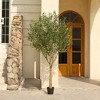DR.Planzen 5-8FT Lush Artificial Olive Tree - UV Resistant Fake Plant with Black Fruits in 7x8" Black Pot for Indoor/Outdoor House & Floor Decor - 2 of 4