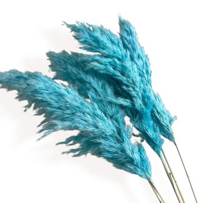 Alilang Decorative Dried Tall Grass Stems for Home Decoration and Floral Arrangements, 27.5 Inches
