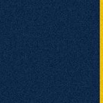 michigan wolverines