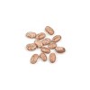 Mountain High Organics Pinto Beans - 25 lb - image 2 of 3