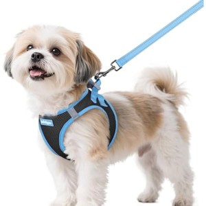 rabbitgoo Dog Harness Small Sized and Leash Set, Puppy Vest for Small Dogs, Black & Light Blue, S - 1 of 1